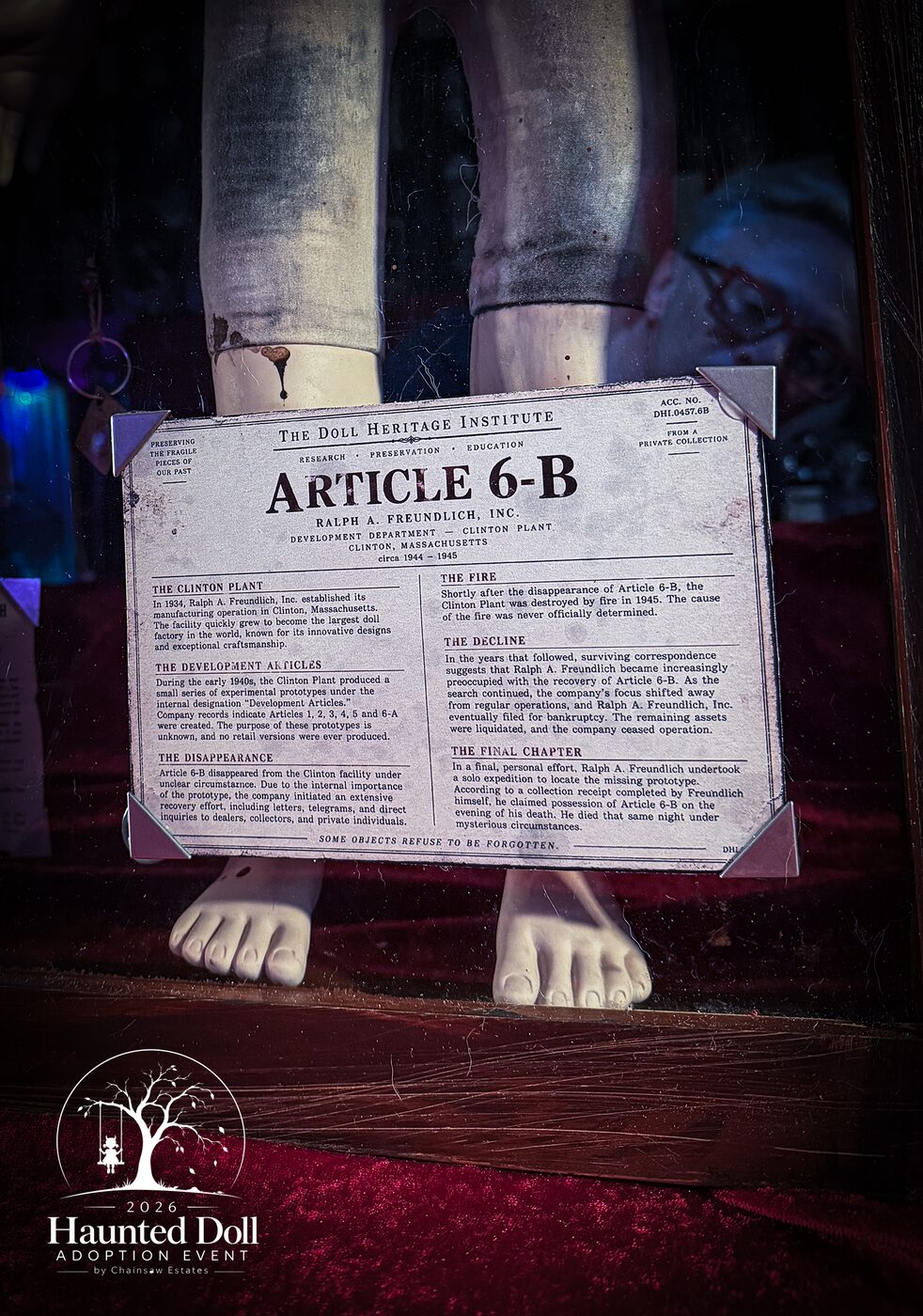 Article 6B, portrait 2